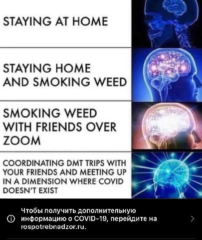 STAYING AT HOME STAYING HOME AND SMOKING WEED SMOKING WEED WITH FRIENDS OVER ZOOM YOUR FRIENDS AND MEETING UP COORDINATING DMT TRIPS WITH IN A DIMENSION WHERE COVID DOESN'T EXIST Чтобы получить дополн