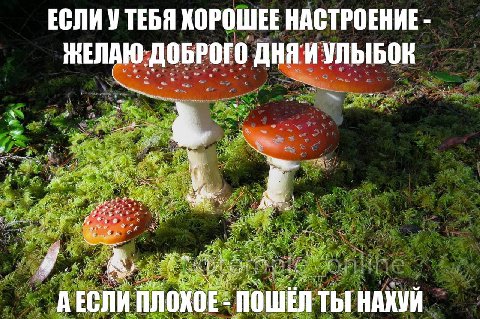 ЕСЛИ УТЕБЯ ХОРОШЕЕ НАСТРОЕНИЕ ЖЕЛАЮ:ДОБРОГО УЛЫБОК he 1 44 a. 4 Mer ПОШЕЛ Thi НАХУЙ NOXOE