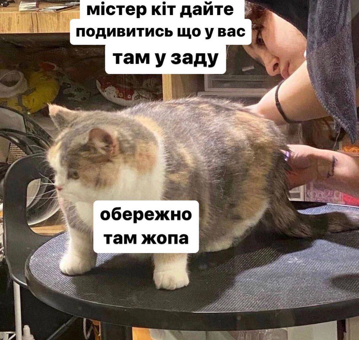 мстер дайте подивитись увас там у заду обережно там жопа