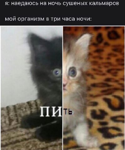 я: наедаюсь на ночь сушеных кальмаров мой организм в три часа ночи: ‘a