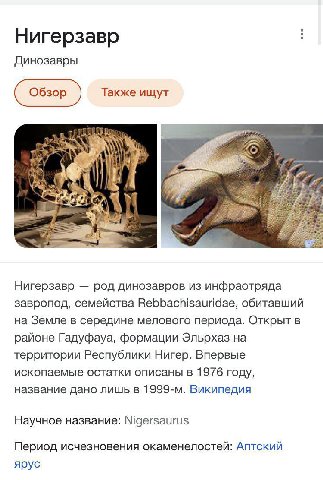 Нигерзавр Динозавры Обзор Также ищут Say iil Нигерзавр род динозавров из инфраотряда завропод, семейства Rebbachisauridae, обитавший на Земле в середине мелового периода. Открыт в районе Гадуфауа, фор