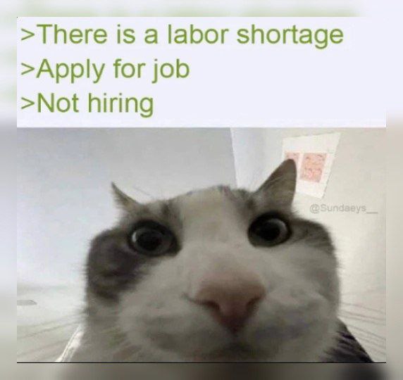 >There is а labor shortage >Apply for job >Not hiring