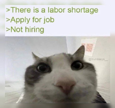 >There is а labor shortage >Apply for job >Not hiring