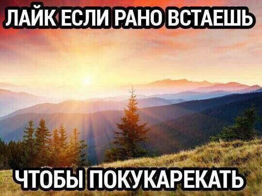 ЛАЙК ЕСЛИ РАНО ВСТАЕШЬ ПОКУКАРЕКАТЬ