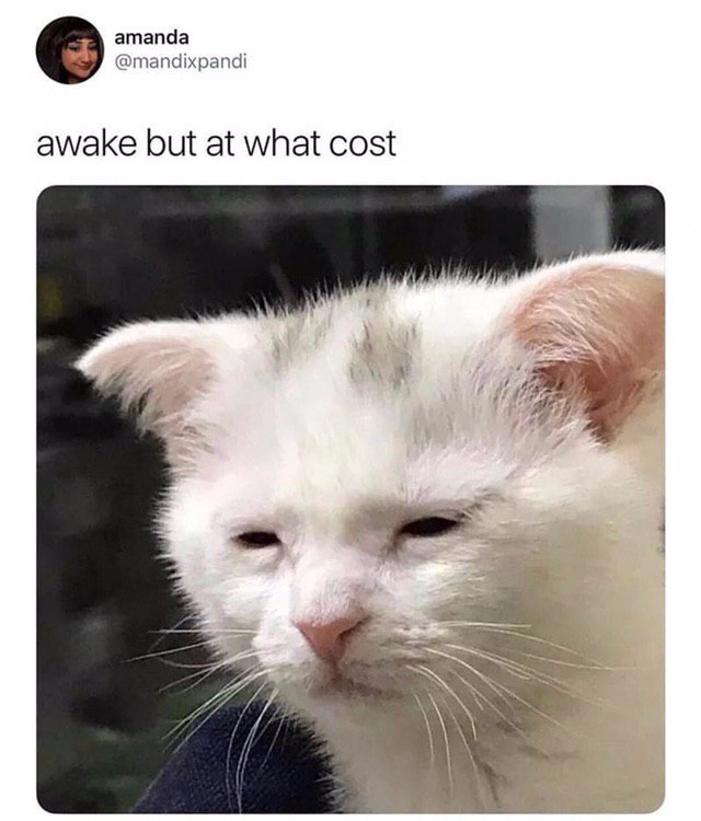 amanda @mandixpandi awake but at what cost