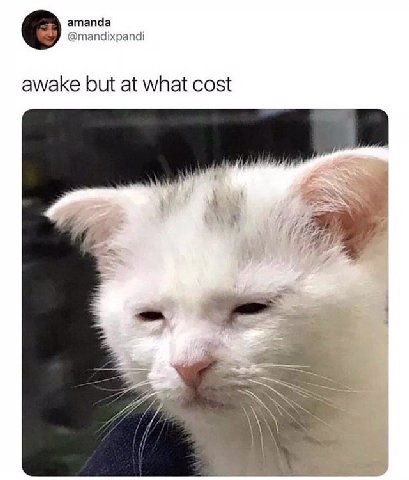 amanda @mandixpandi awake but at what cost