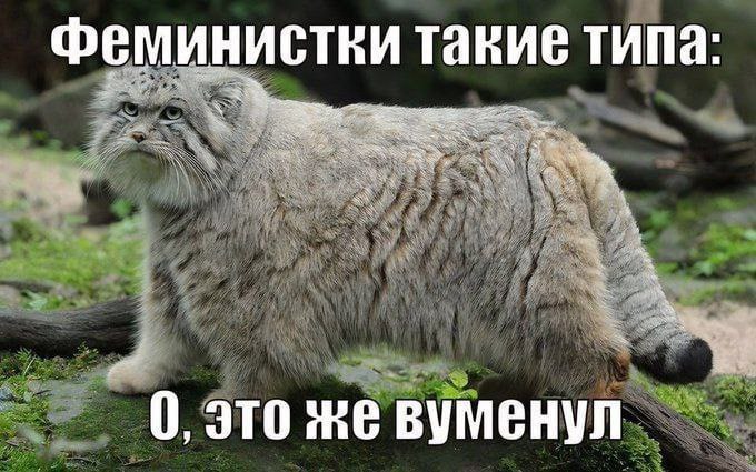 Феминистки такие типа: 4 А “i tae 7’ 0, это вуменул я