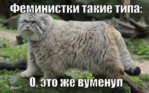Феминистки такие типа: 4 А “i tae 7’ 0, это вуменул я