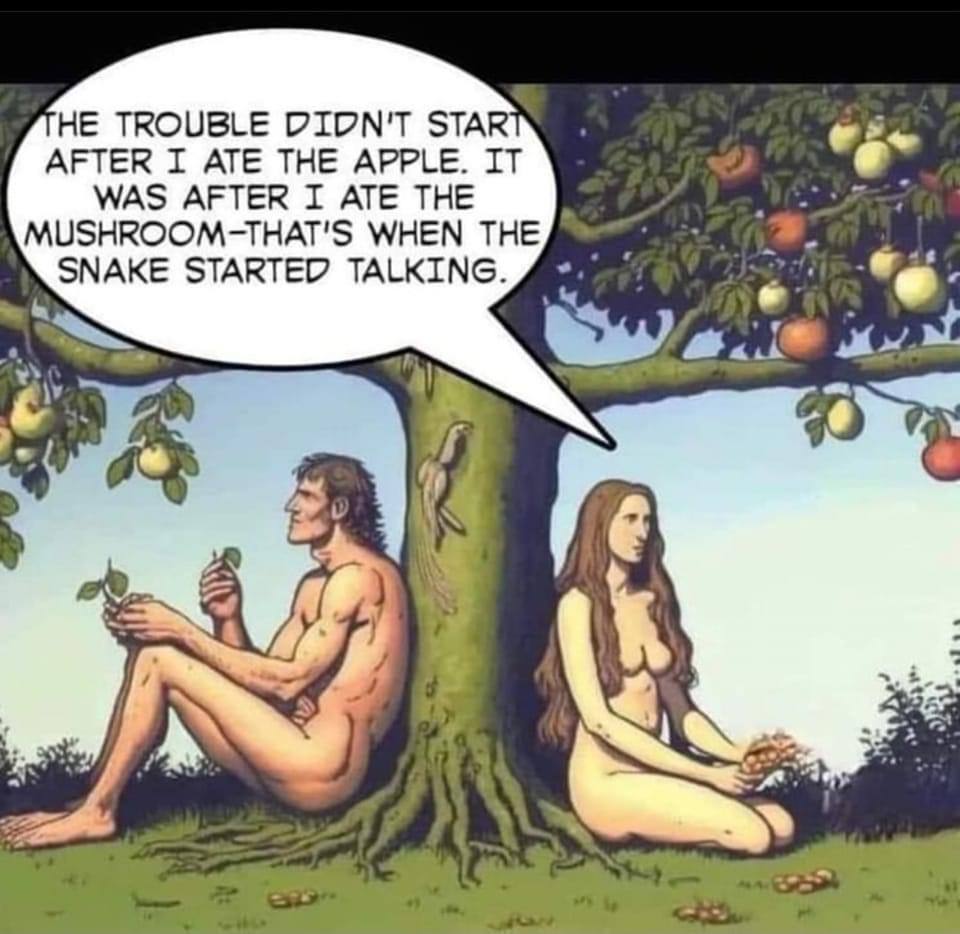 НЕ TROUBLE DIDN'T STAR AFTER I ATE THE APPLE. IT WAS AFTER I ATE THE MUSHROOM-THAT'S WHEN THE SNAKE STARTED TALKING. wat 5