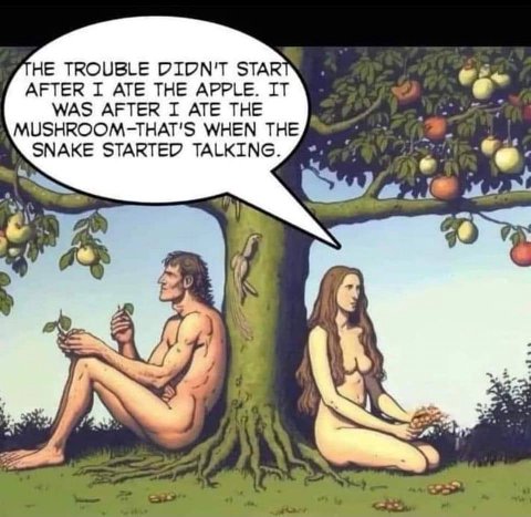 НЕ TROUBLE DIDN'T STAR AFTER I ATE THE APPLE. IT WAS AFTER I ATE THE MUSHROOM-THAT'S WHEN THE SNAKE STARTED TALKING. wat 5