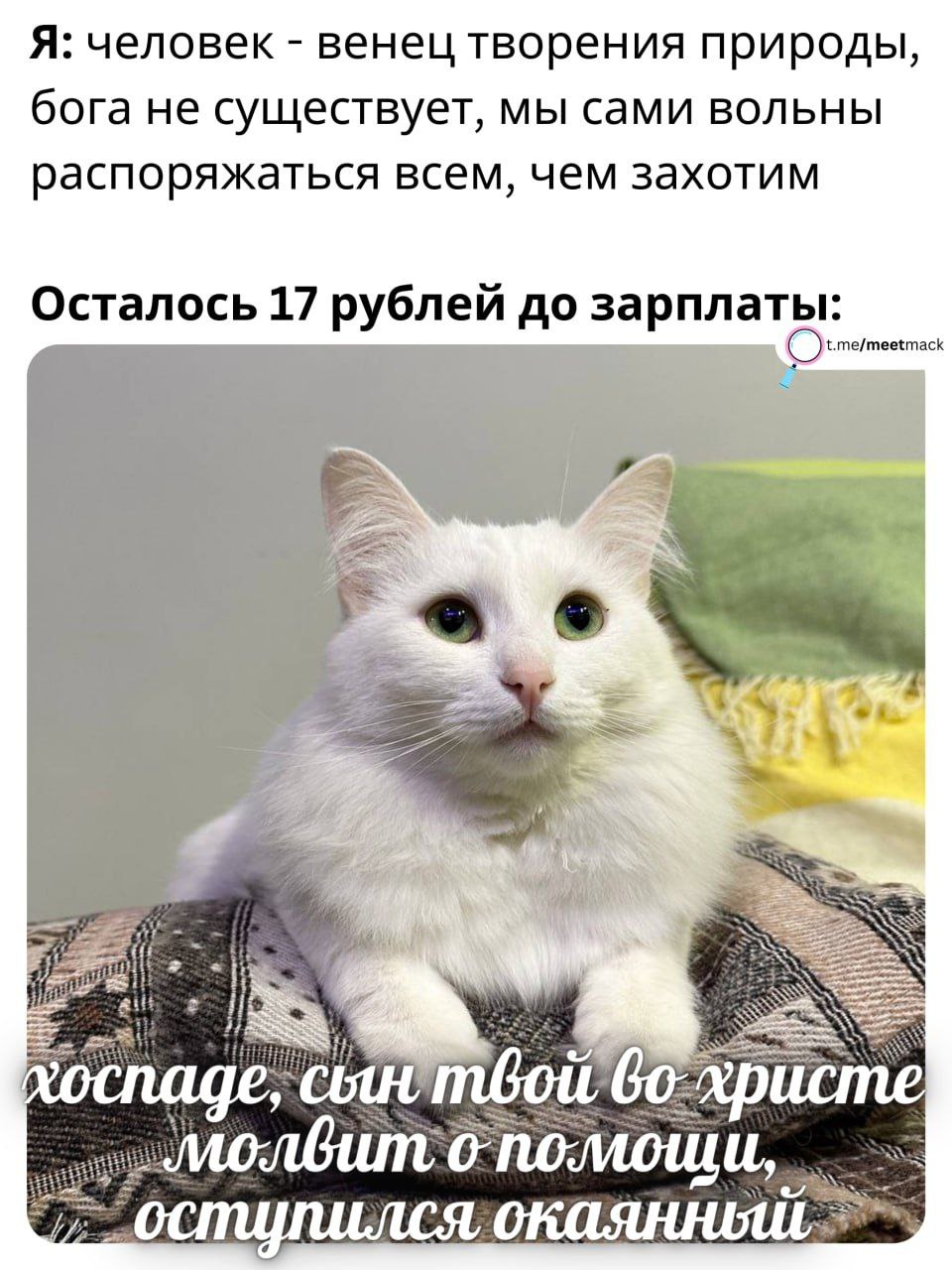 Я: человек венец творения природы бога не существует, мы сами вольны распоряжаться всем, чем захотим Осталось 17 рублей до зарплаты: me/meetmack 6 Ade cout mboit