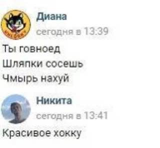 Диана сегодня в 13:39 Ты говноед Шляпки сосешь Чмырь нахуй Никита сегодня 13:41 Красивое хокку