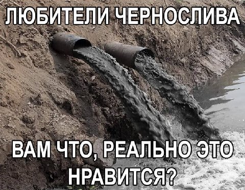 ЛЮБИТЕЛИ ЧЕРНОСЛИВА РЕАЛЬНО. это НРАВИТСЯ2: