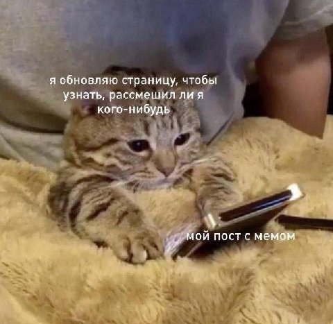 я обновляю страницу, чтобы узнать, рассмешил лия кого-нибудь мой пост с мемом