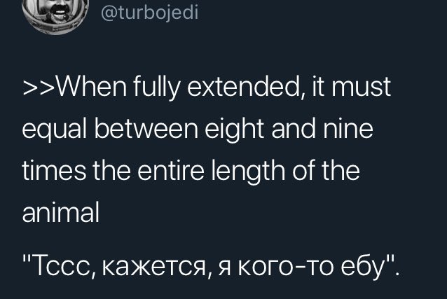 @turbojedi >>When fully extended, it must equal between eight and nine times the entire length of the animal "Тссс, кажется, я кого-то ебу".