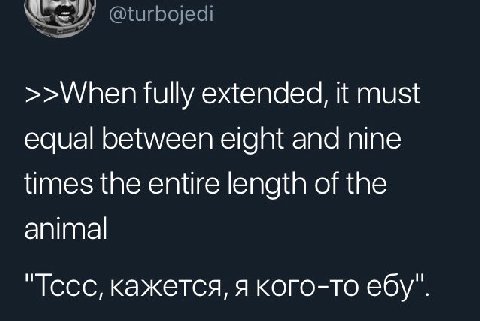 @turbojedi >>When fully extended, it must equal between eight and nine times the entire length of the animal "Тссс, кажется, я кого-то ебу".
