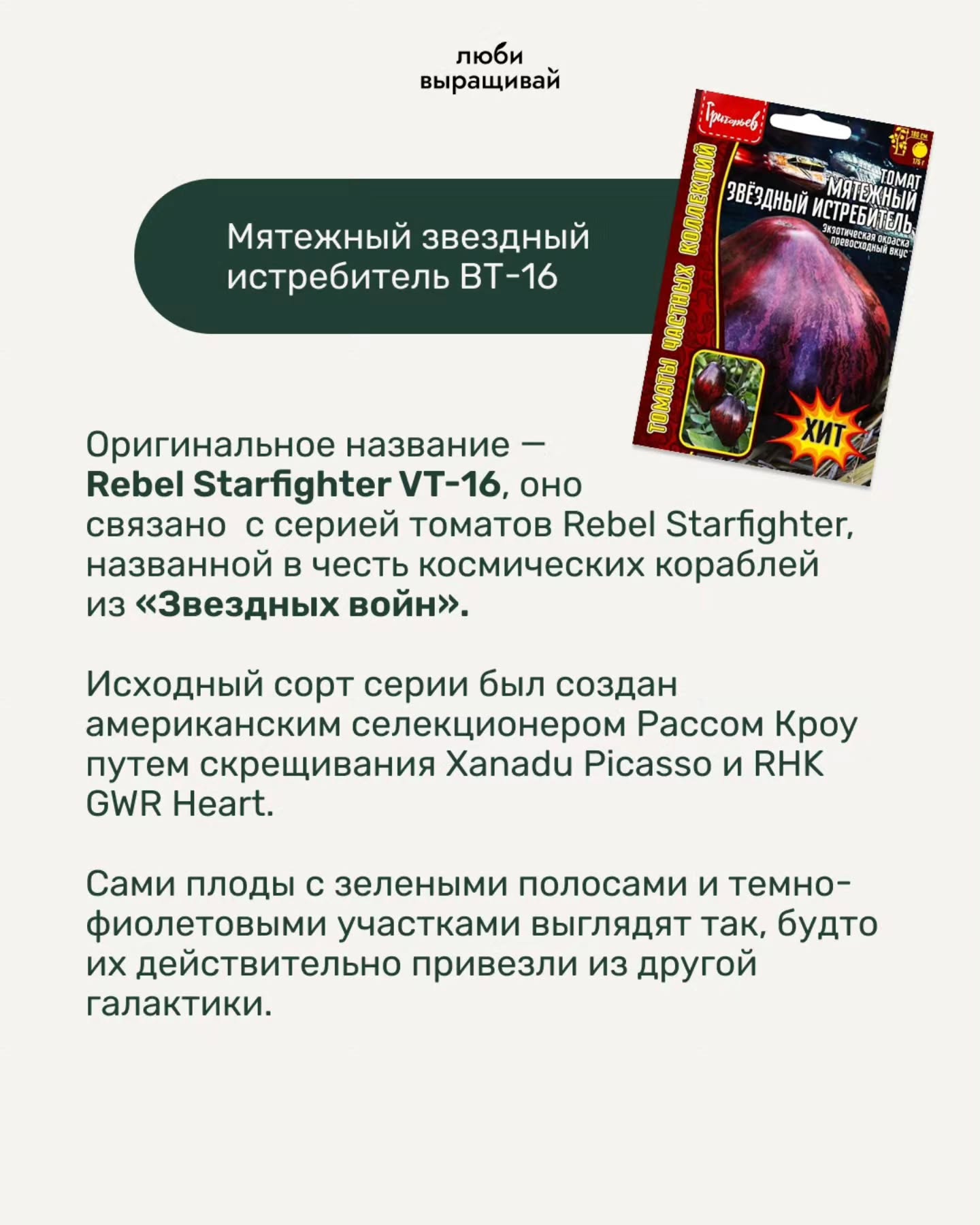люби выращивай ИСТ РЕБИТЕ Мятежный звездный 83 истребитель Оригинальное название Rebel Starfighter оно связано с серией томатов Rebel Starfighter, названнои в честь космических кораблей из «Звездных в