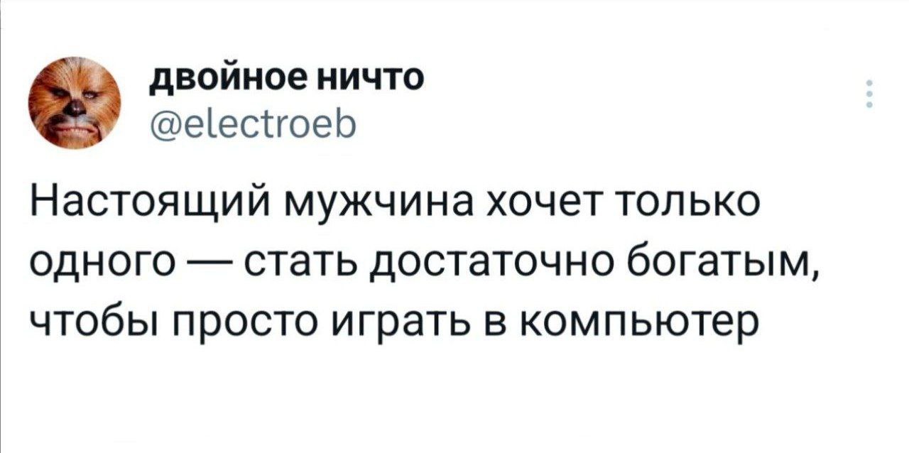 двойное ничто @electroeb Настоящий мужчина хочет только одного стать достаточно богатым, чтобы просто играть в компьютер