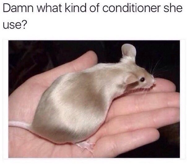 Damn what kind of conditioner she use?