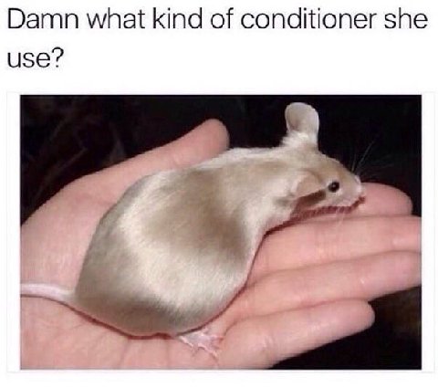 Damn what kind of conditioner she use?