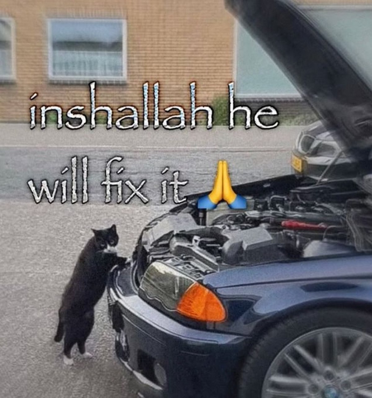 insha