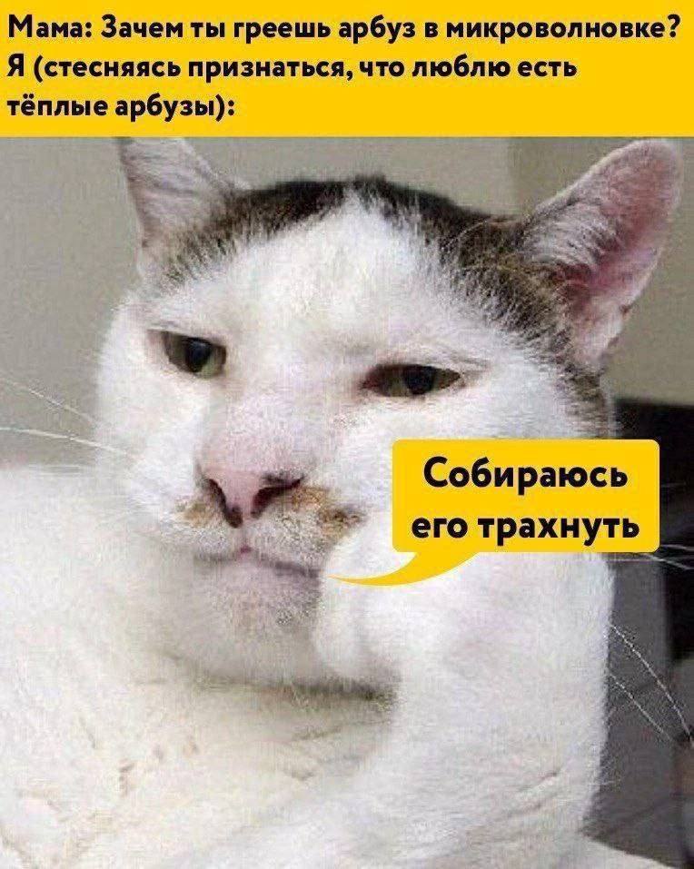 Мама: Зачем ты греешь арбуз в микроволновке? Я (стесняясь признаться, что люблю есть тёплые арбузы): 3 Собираюсь еготрахнуть