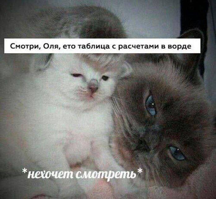 Смотри, Оля, ето таблица с расчетами в ворде *нехочет смотреть*