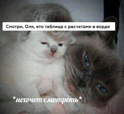 Смотри, Оля, ето таблица с расчетами в ворде *нехочет смотреть*