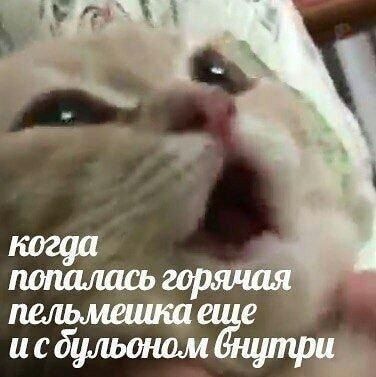 4 когда попалась горячая внутри
