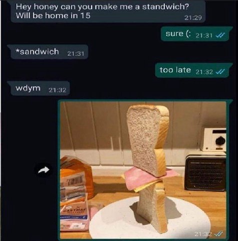 Hey honey can you make me а standwich? Will be 21:29 sure 21:31 *sandwich 21:31 too late 21:32 wdym 21:32 И owe