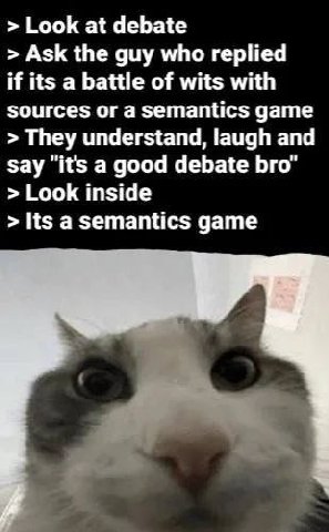 Look at debate Ask the guy who replied if its a battle of wits with sources or a semantics game They understand, laugh and say "it's a good debate bro’ Look inside Its a semantics game