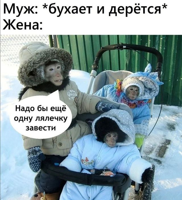 Муж: *бухает и дерётся* и] Надо бы одну лялечку завести 97%