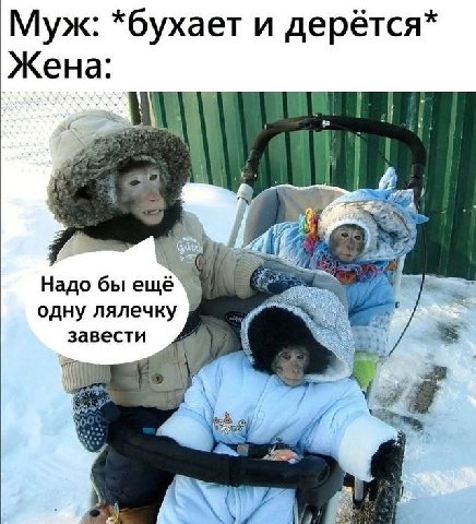 Муж: *бухает и дерётся* и] Надо бы одну лялечку завести 97%