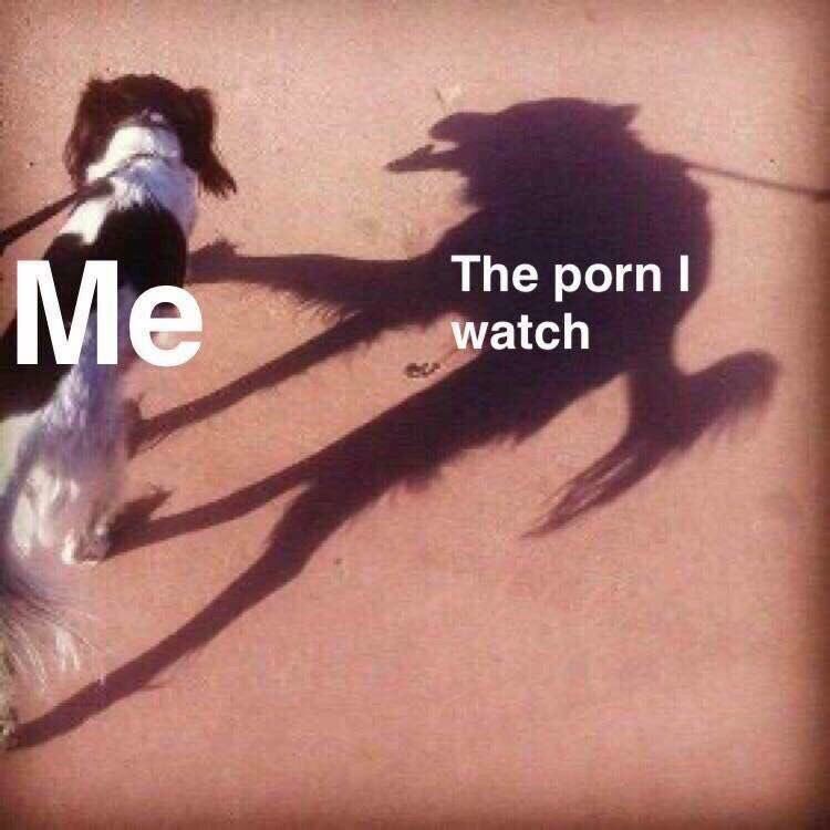 The porn watch