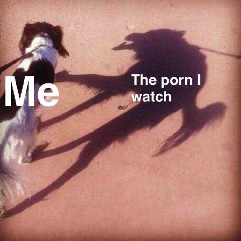 The porn watch
