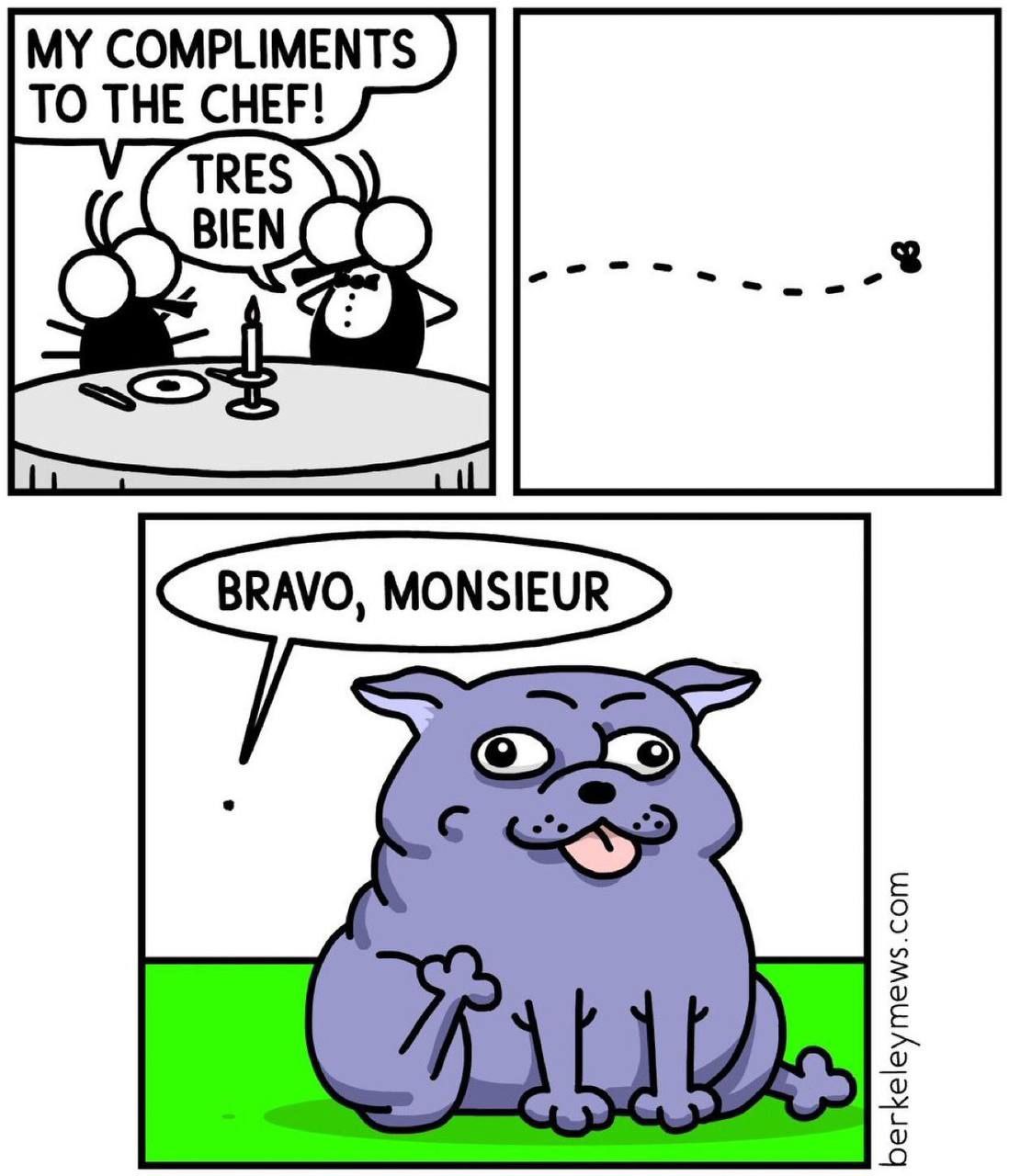 MY COMPLIMENTS TO THE CHEF! BRAVO, MONSIEUR С