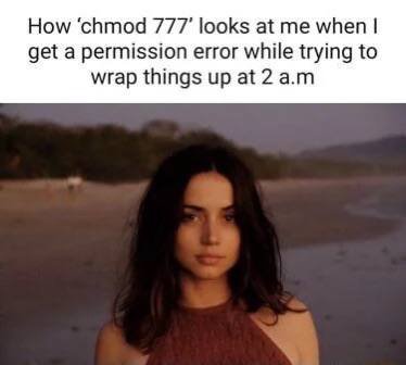 How ‘chmod 777’ looks at me when get a permission error while trying to wrap things up at 2