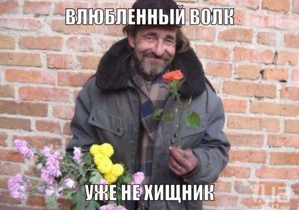 ВОЛЕ ЕНЕ