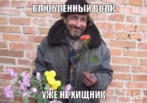ВОЛЕ ЕНЕ