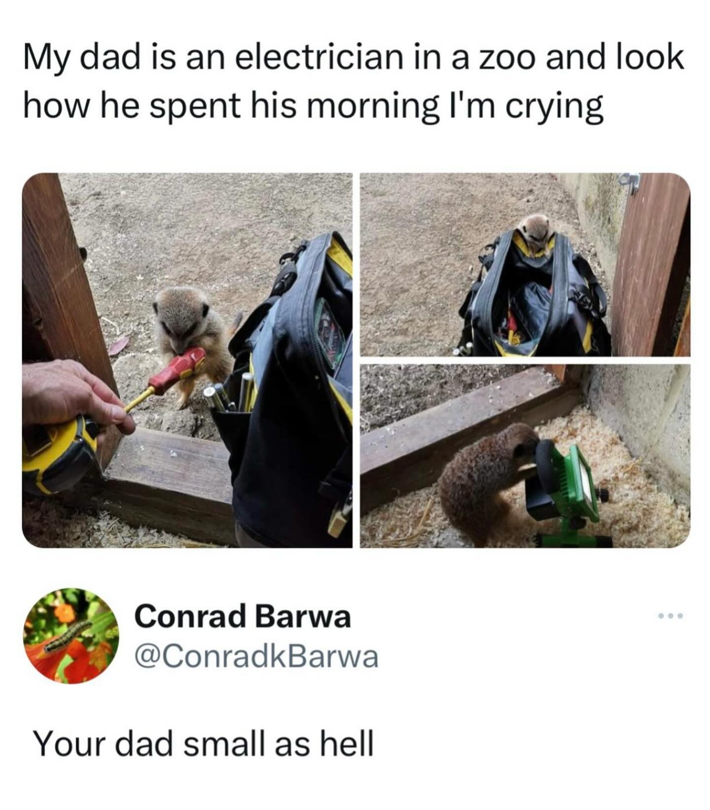 My даа is an electrician a zoo and look how he spent his morning crying Conrad Barwa @ConradkBarwa Your dad small as hell