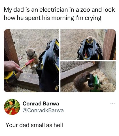 My даа is an electrician a zoo and look how he spent his morning crying Conrad Barwa @ConradkBarwa Your dad small as hell