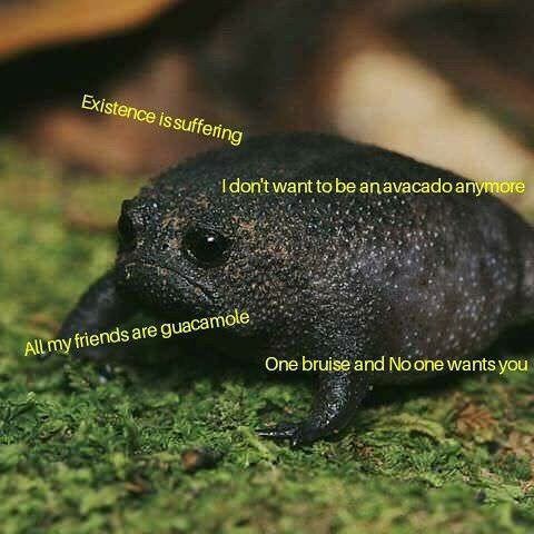EXig, is с don't want о be ауаса о anymore moe are One bruise and No one wants you