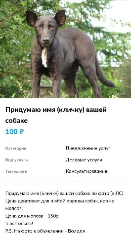 Придумаю имя (кличку) вашей собаке 100 Категория Предложение услуг Вид услуги Деловые услуги Тип услуги Консультирование Придумаю имя (кличку) вашей собаке по фото (в Цена действует для любой породы с