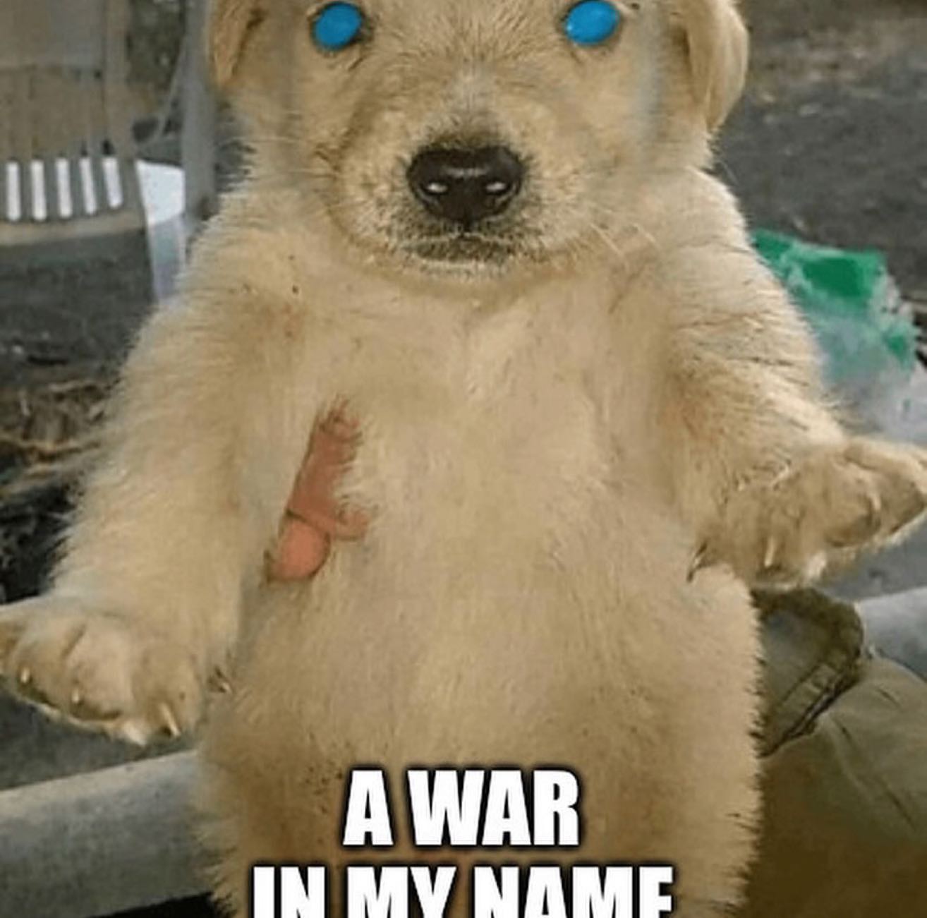 И AWAR