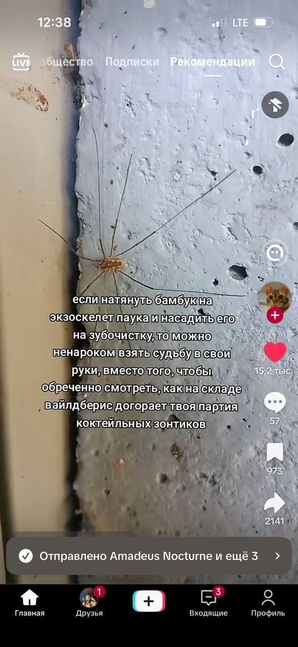 12:38 of LTE Live Подписки дац 4 Quy 4 9 47 я если натянуть бамбук экзоскелет паука и насадить его на зубочистку, TO можно ненароком взять судьбу в свои руки, вместо того, чтобы 15,2 тыс. обреченно см