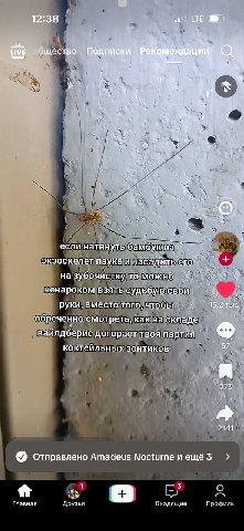 12:38 of LTE Live Подписки дац 4 Quy 4 9 47 я если натянуть бамбук экзоскелет паука и насадить его на зубочистку, TO можно ненароком взять судьбу в свои руки, вместо того, чтобы 15,2 тыс. обреченно см