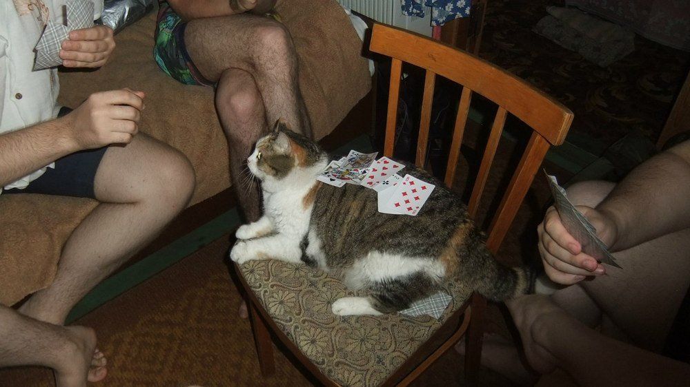 У Я 4