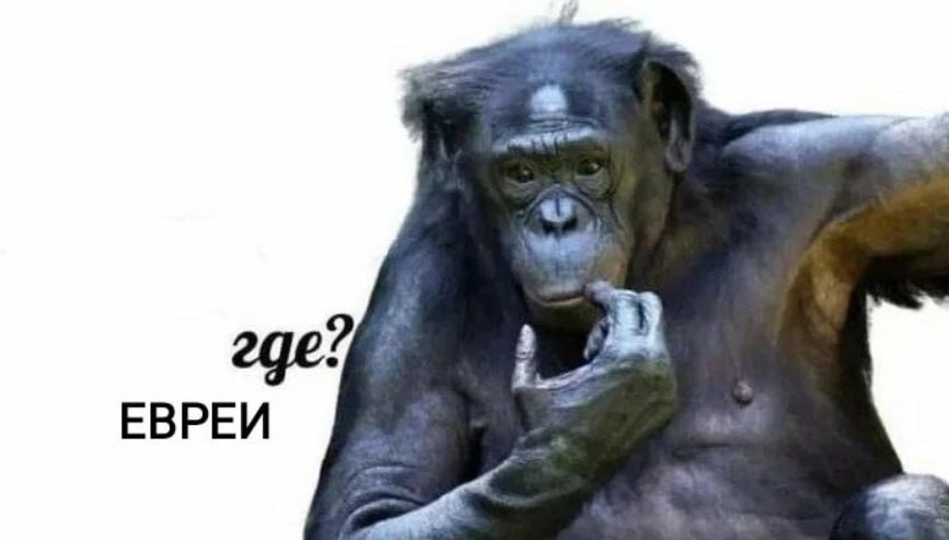 ЕВРЕИ