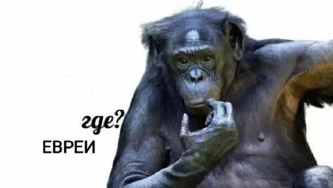 ЕВРЕИ