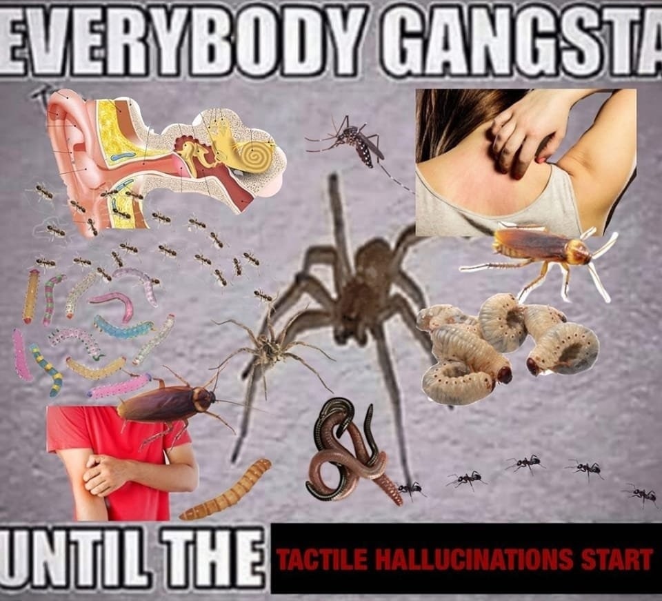 GANGSTI AEE у UNTIL THE